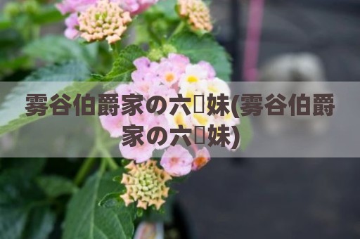 雾谷伯爵家の六姉妹(雾谷伯爵家の六姉妹)