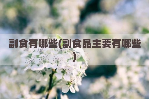 副食有哪些(副食品主要有哪些)