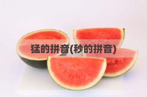 猛的拼音(秒的拼音)