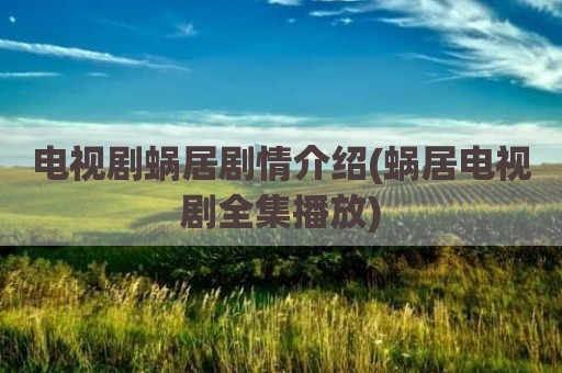 电视剧蜗居剧情介绍(蜗居电视剧全集播放)