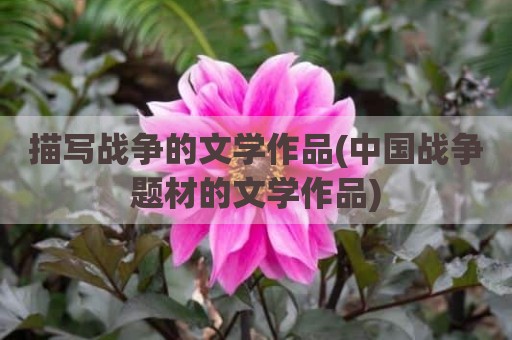 描写战争的文学作品(中国战争题材的文学作品)