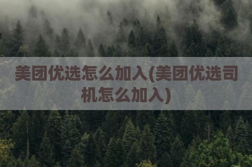 美团优选怎么加入(美团优选司机怎么加入)