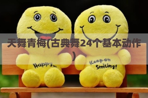 天舞青梅(古典舞24个基本动作)