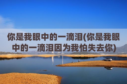 你是我眼中的一滴泪(你是我眼中的一滴泪因为我怕失去你)