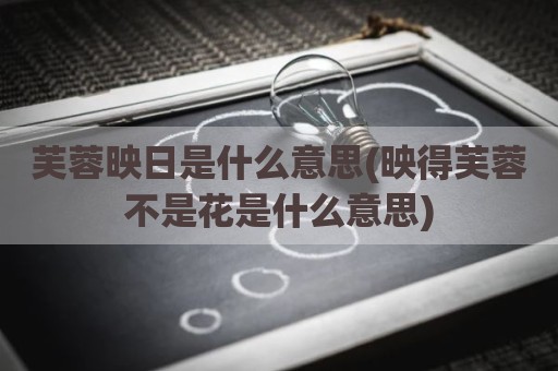 芙蓉映日是什么意思(映得芙蓉不是花是什么意思)