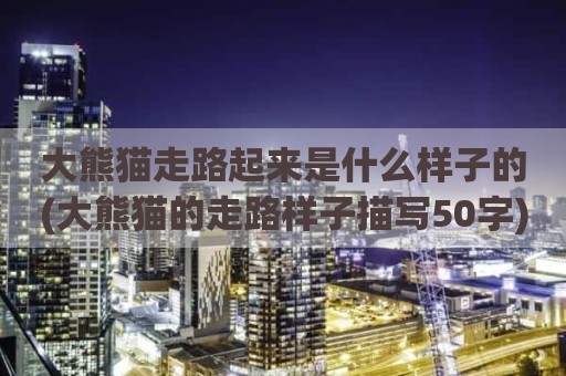 大熊猫走路起来是什么样子的(大熊猫的走路样子描写50字)