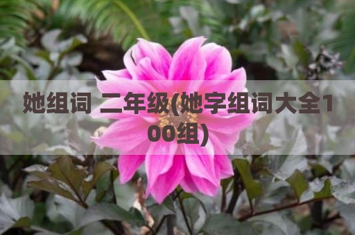她组词 二年级(她字组词大全100组)