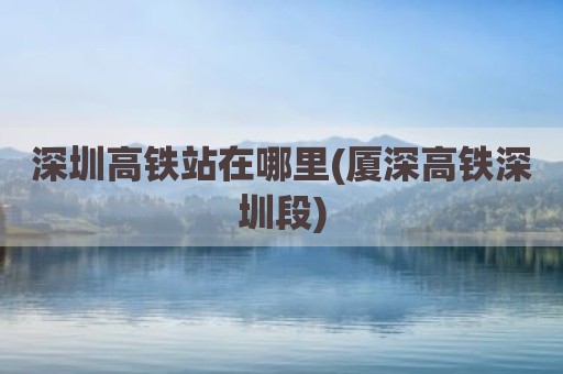 深圳高铁站在哪里(厦深高铁深圳段)