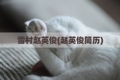 雪村赵英俊(赵英俊简历)