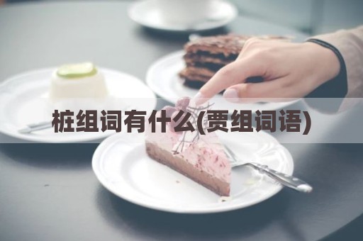 桩组词有什么(贾组词语)