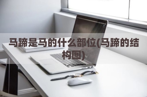 马蹄是马的什么部位(马蹄的结构图)