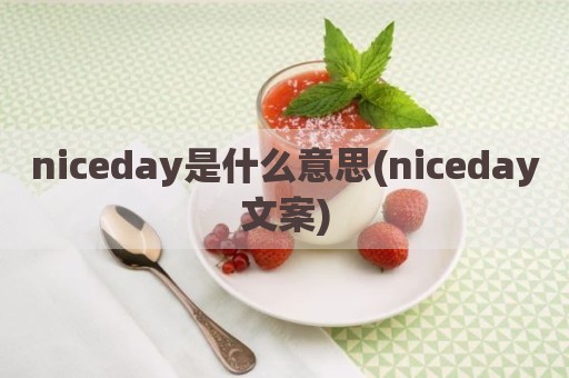 niceday是什么意思(niceday文案)