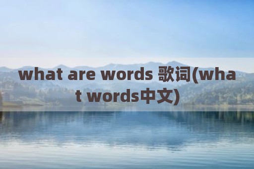 what are words 歌词(what words中文)