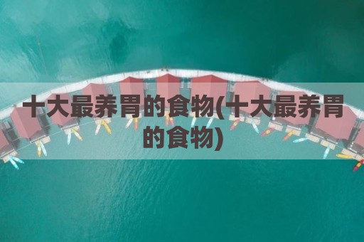 十大最养胃的食物(十大最养胃的食物)