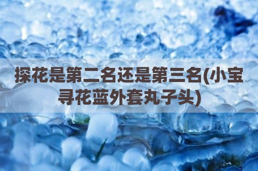 探花是第二名还是第三名(小宝寻花蓝外套丸子头)