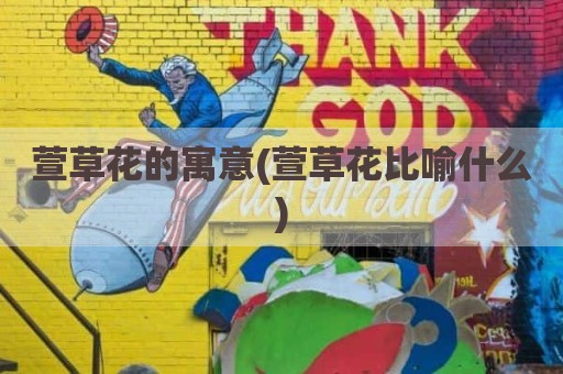 萱草花的寓意(萱草花比喻什么)