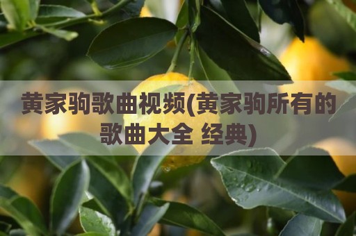 黄家驹歌曲视频(黄家驹所有的歌曲大全 经典)