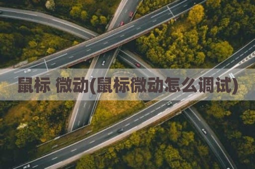 鼠标 微动(鼠标微动怎么调试)