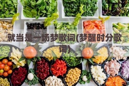 就当是一场梦歌词(梦醒时分歌词)