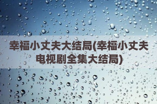 幸福小丈夫大结局(幸福小丈夫电视剧全集大结局)