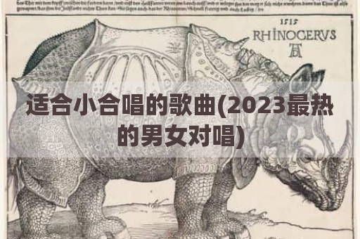 适合小合唱的歌曲(2023最热的男女对唱)
