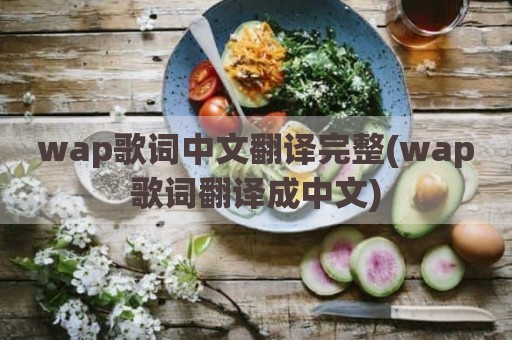 wap歌词中文翻译完整(wap歌词翻译成中文)