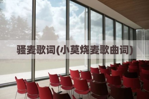 骚麦歌词(小莫烧麦歌曲词)