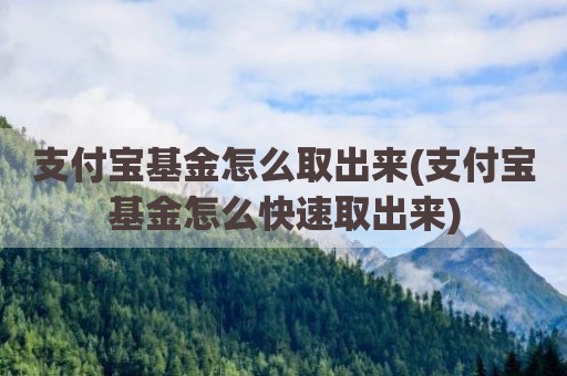 支付宝基金怎么取出来(支付宝基金怎么快速取出来)