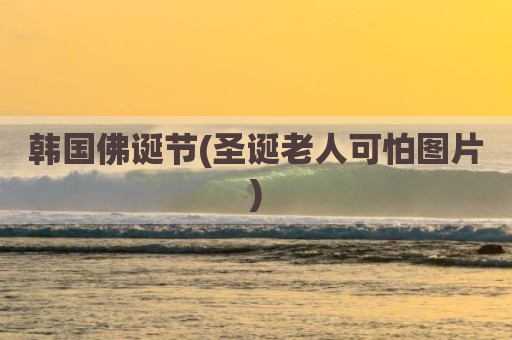 韩国佛诞节(圣诞老人可怕图片)