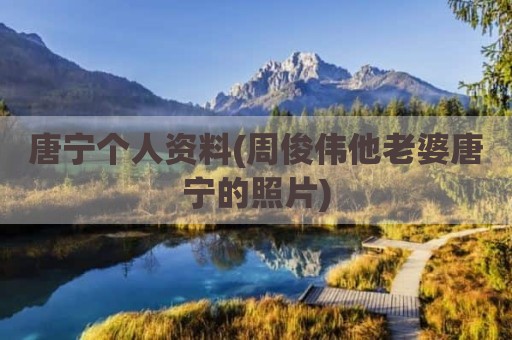 唐宁个人资料(周俊伟他老婆唐宁的照片)