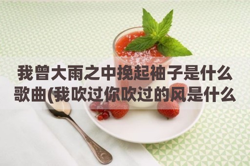 我曾大雨之中挽起袖子是什么歌曲(我吹过你吹过的风是什么歌名)