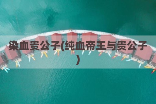 染血贵公子(纯血帝王与贵公子)