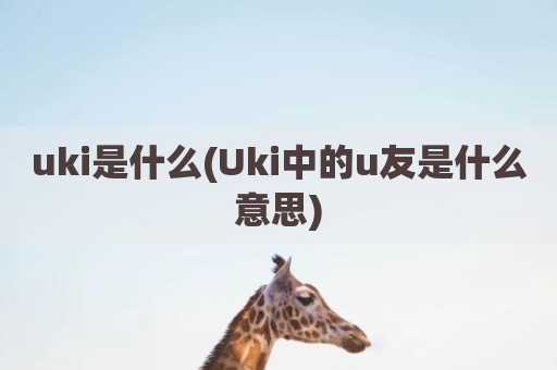 uki是什么(Uki中的u友是什么意思)