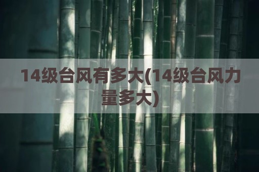 14级台风有多大(14级台风力量多大)