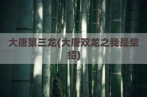 大唐第三龙(大唐双龙之我是柴绍)