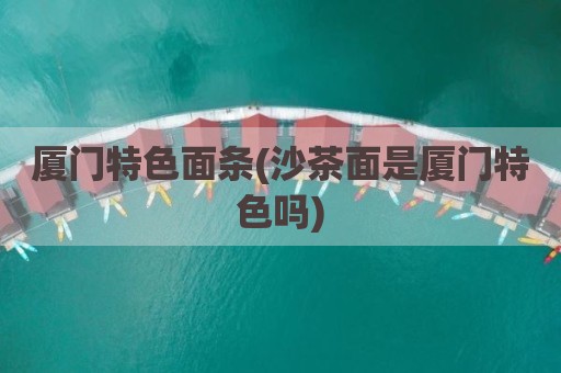 厦门特色面条(沙茶面是厦门特色吗)