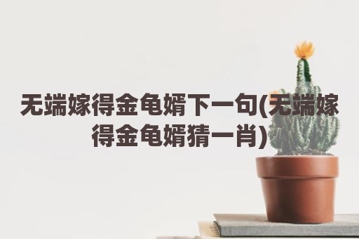 无端嫁得金龟婿下一句(无端嫁得金龟婿猜一肖)