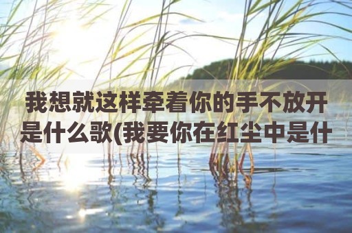 我想就这样牵着你的手不放开是什么歌(我要你在红尘中是什么歌)