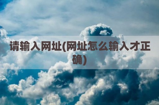 请输入网址(网址怎么输入才正确)