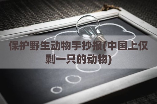 保护野生动物手抄报(中国上仅剩一只的动物)