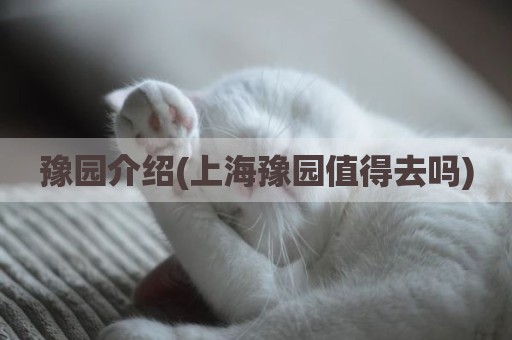 豫园介绍(上海豫园值得去吗)