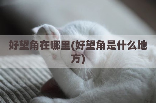 好望角在哪里(好望角是什么地方)