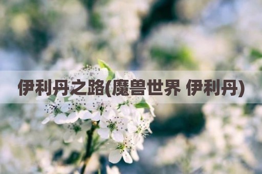 伊利丹之路(魔兽世界 伊利丹)