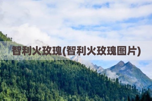智利火玫瑰(智利火玫瑰图片)
