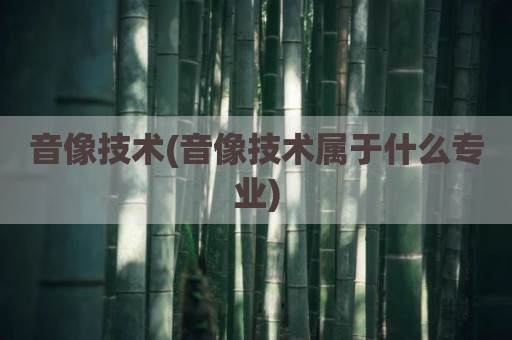 音像技术(音像技术属于什么专业)