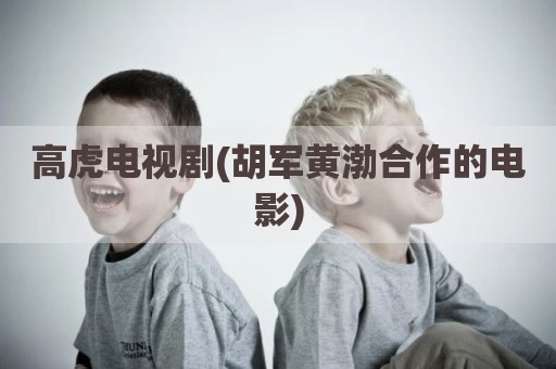 高虎电视剧(胡军黄渤合作的电影)
