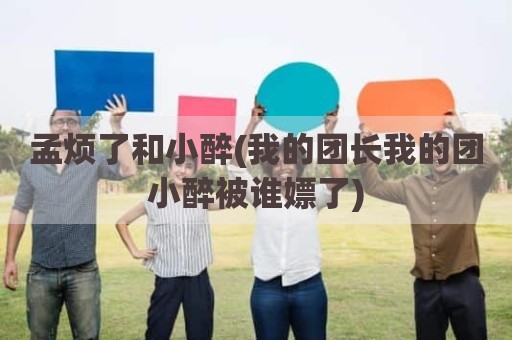 孟烦了和小醉(我的团长我的团小醉被谁嫖了)
