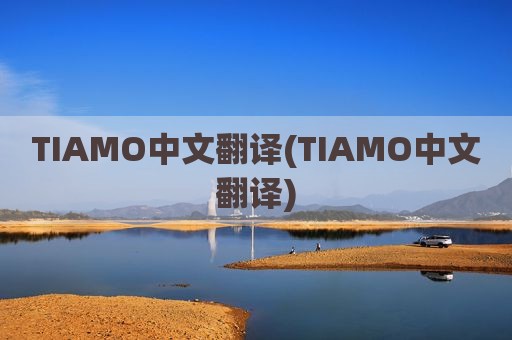 TIAMO中文翻译(TIAMO中文翻译)