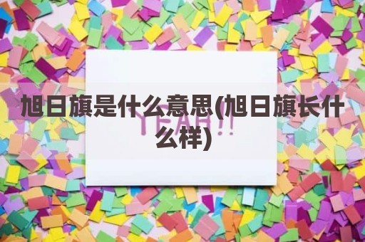 旭日旗是什么意思(旭日旗长什么样)