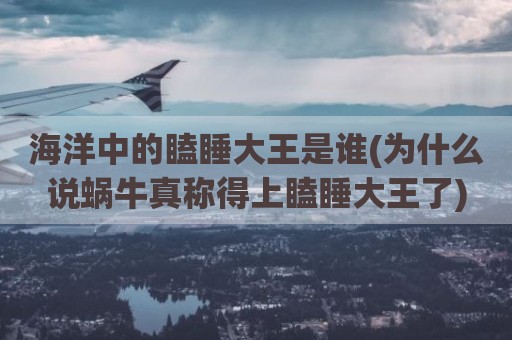 海洋中的瞌睡大王是谁(为什么说蜗牛真称得上瞌睡大王了)